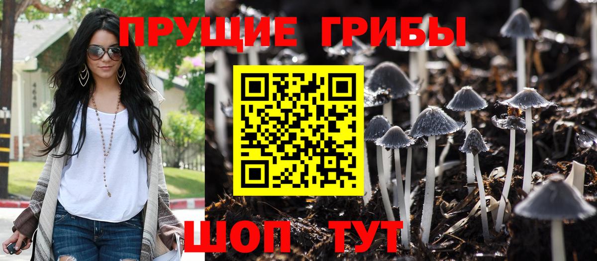 Вологда  Псилоцибиновые грибы прущие грибы  Псилоцибиновые грибы мухоморы  Вход с VPN 